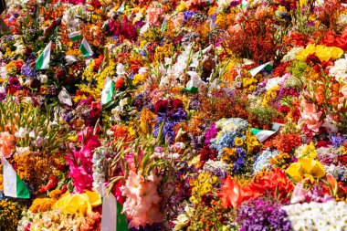 Çiçek gümüşleri sergileniyor - Silleteros Medellin 'de geçit töreni