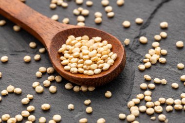 Chenopodium kinoası - Kaşıkta kinoa tohumu