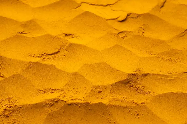 Zerdeçal çok sağlıklı bir türdür - Curcuma longa