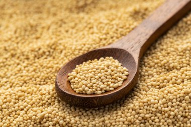 Bir kaşıkta çiğ organik amaranth tohumu - Amaranthus