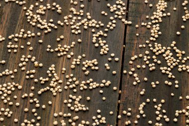 Organik beyaz kinoa tohumları - Chenopodium kinoası