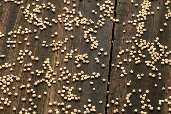 Organik beyaz kinoa tohumları - Chenopodium kinoası