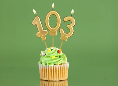 103 numaralı doğum günü mumu - Yeşil arka planda kek