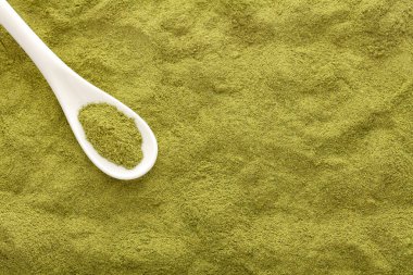 Kaşıkta kurutulmuş moringa tozu - Moringa oleifera