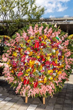 Medellin kutlama yapıyor, çiçek fuarı Silleteros geçit töreniyle dönüyor.
