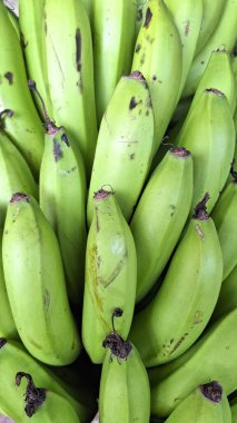 Birçok taze toplanmış yeşil muz - Kolombiya köyünde pazar meydanı