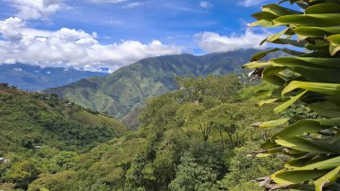 Batı Antioquia 'nın dağlık arazisi - dağlar, mavi gökyüzü ve ağaçlar