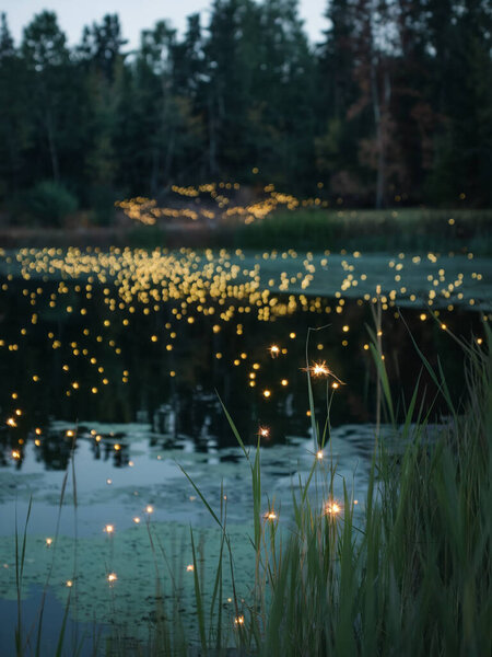 Очаровательный вечерний пейзаж с яркими светлячками, мерцающими над спокойной поверхностью озера. На заднем плане вы можете увидеть силуэты деревьев и величественных гор, создавая