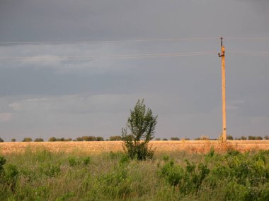 Batan güneşin ışıltısında elektrik direği. Bilhorod-Dnistrovsky bölgesi, Odesa bölgesi, Ukrayna