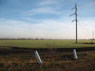 Yol kenarlı manzara, küçük ağaç, elektrik hattı direği ve tarlası. Bilhorod-Dnistrovsky bölgesi, Odesa bölgesi, Ukrayna