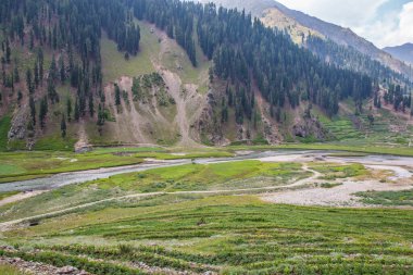 Fairy Meadows Nanga Parbat Beautiful Landscape Mountains View