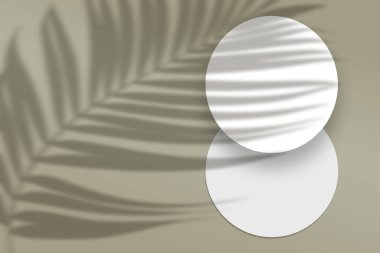 Flat Lay white Paper Mockup with leave shadow