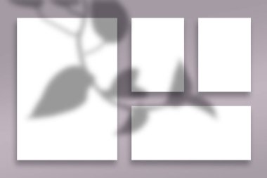 Flat Lay white Paper Mockup with leave shadow