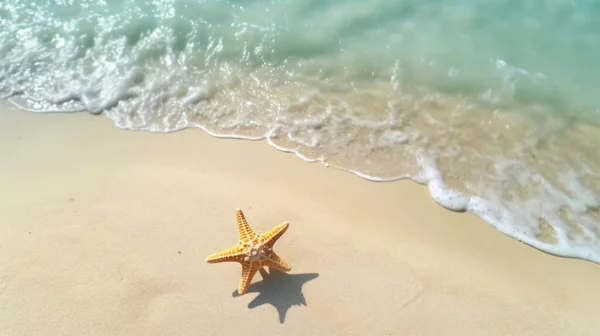 Stelle Marine Sulla Spiaggia Sabbia Con Acqua Mare Blu Concetto — Foto Stock