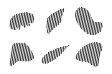 Soyut Akışkan Şekil Çizgileri Soyut Siyah Şekiller Sıvı Şekiller Elementleri Rastgele Akışkan Şekiller.