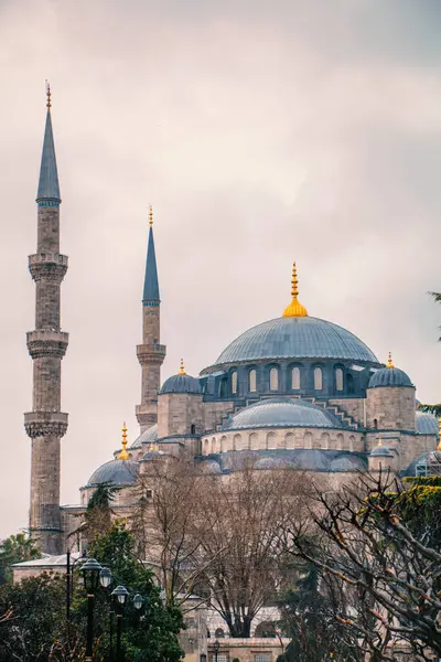 İstanbul 'daki Sultan Ahmed Camii' nin bulutlu bir günde heybetli manzarası. Büyük merkezi kubbe ve ince minareler, sessiz bir gökyüzüne karşı hazırlanan sahnenin hakimi. Ön plandaki çıplak kış ağaçları m 'nin ihtişamına derinlik ve kontrastı ekler