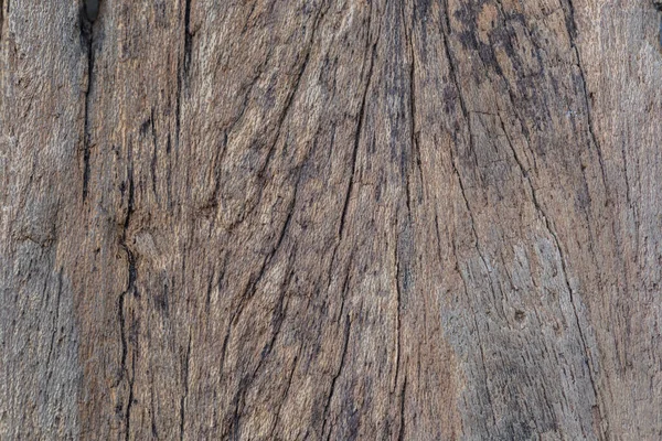 自然パターンと古い木のテクスチャ 概要デザインの背景とテクスチャ — ストック写真