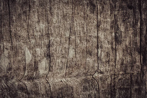 Gammel Træ Tekstur Med Naturlige Mønstre Abstrakt Baggrund Tekstur Til - Stock-foto