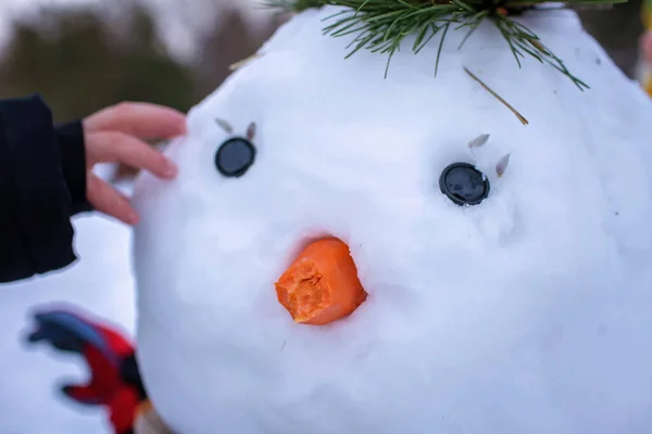 Retrato Cerca Del Muñeco Nieve Con Una Zanahoria Mordida Que —  Fotos de Stock