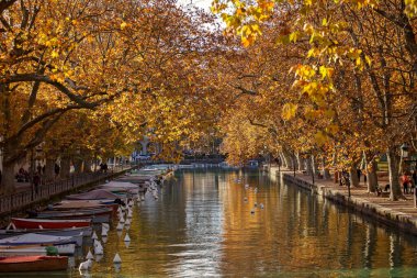 Sonbahar sarı ağaçları, tekneleri ve uzak bir köprüsü olan resimli Annecy Kanalı. Bu Fransız şehrinin dingin güzelliğini ve hareketli sonbahar atmosferini kucaklayarak, turistler geziniyor.