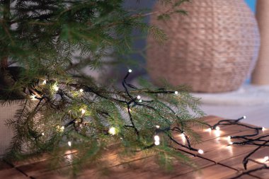 köknar dalı ile Noel arka plan