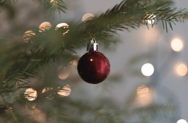 Güzel dekore edilmiş bir Noel ağacının, parlak bir arka planda kırmızı bir topla yakın çekimi. Odaklanmamış çelenkler, bokeh etkisi