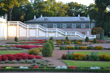 Arka planında büyük bir bina bulunan güzel çiçek bahçesi, Tallinn, Estonya
