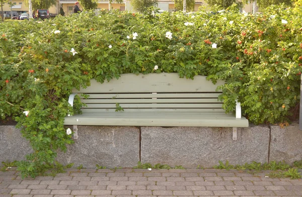 city bench with a green plant growing above it