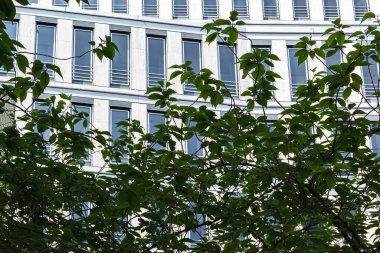 Hamburg 'da geniş pencereli modern bina