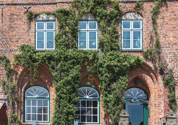 building covered with green ivy on the entire wall