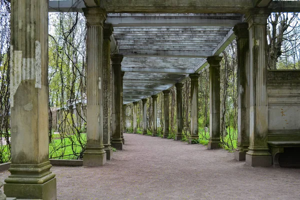 stock image Arch and columns on which ivy grows