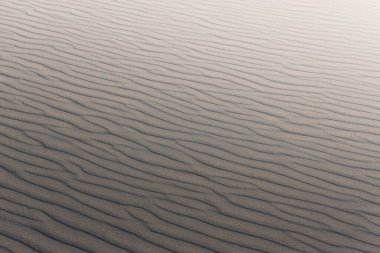 texture of a sand dune in a moving desert in Denmark