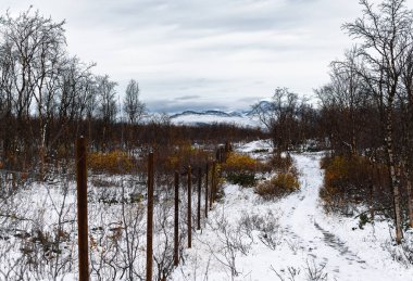 Finlandiya ve İsveç sınırındaki tel örgüler