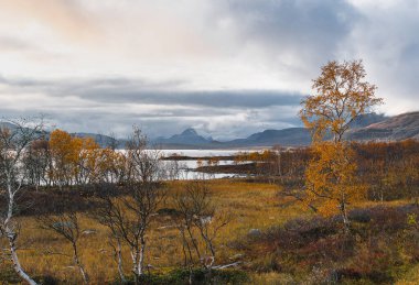 Kilpisjarvi, Finlandiya, Laponya sonbahar manzarası