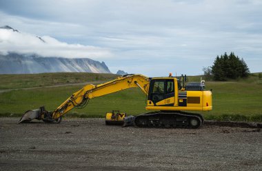 Sarı kazıcı, İzlanda 'da arkasında dağlar olan bir yolda.