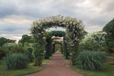 Wedding arch in Rosenlund Rosarium with white roses and green plants, Jonkpoing, Sweden