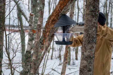 Kışlık giysiler giyen kişi karla kaplı bir ormanda bir ağaca yem atar.