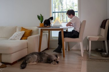 Bir adam dizüstü bilgisayarında kedisiyle masada oturuyor ve köpek yerde dinleniyor.