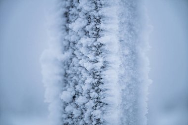 Dikey yüzeydeki buz kristallerinin yakın çekimi, detaylı doku, yumuşak mavi tonlar, soğuk kış konsepti, bulanık arkaplan
