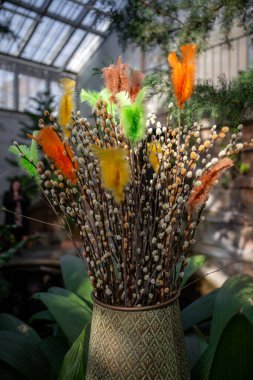 Pussy willow branches with colorful feathers in spring sunlight close-up. 