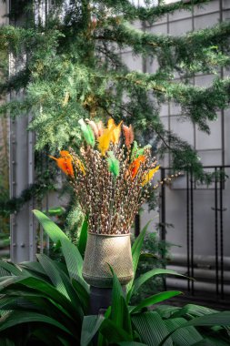Pussy willow branches with colorful feathers in spring sunlight close-up. 