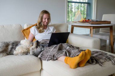 Parlak çoraplı kadın krem rengi koltukta oturuyor, battaniyesi ve köpeği var ve dizüstü bilgisayar kullanıyor..
