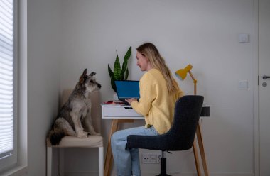 Köpeği evdeki rahat koltukta otururken beyaz bir masada çalışan bir kadın.