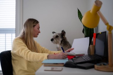Ev masasında yanında köpek olan bir kadın, rahat çalışma alanı konsepti.