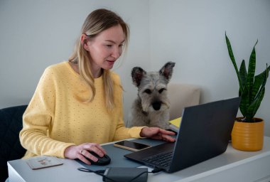 Sarı kazaklı bir kadın evde köpeğiyle birlikte dizüstü bilgisayarda çalışıyor. Uzaktan çalışma kavramı. 