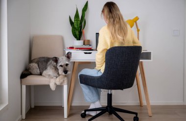 Köpeği evdeki konforlu sandalyede uzanırken beyaz bir masada çalışan bir kadın.