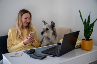 Sarı kazaklı bir kadın ofis masasında yanında köpeğiyle telefon kullanıyor. Uzaktan çalışma kavramı. 