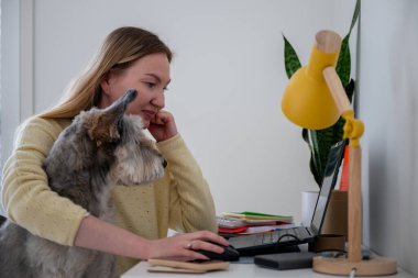 Kadın ev ofisinde kucağında köpekle dizüstü bilgisayarda çalışıyor. Uzaktan çalışma ve evcil hayvan arkadaşlığı kavramı.