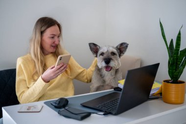 Sarı kazaklı bir kadın ofis masasında yanında köpeğiyle telefon kullanıyor. Uzaktan çalışma kavramı. 