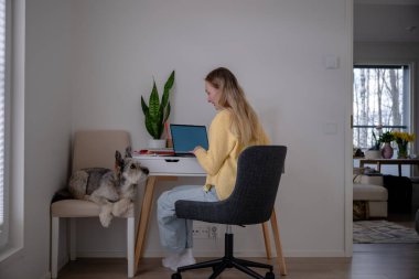 Köpeği evdeki konforlu sandalyede uzanırken beyaz bir masada çalışan bir kadın.